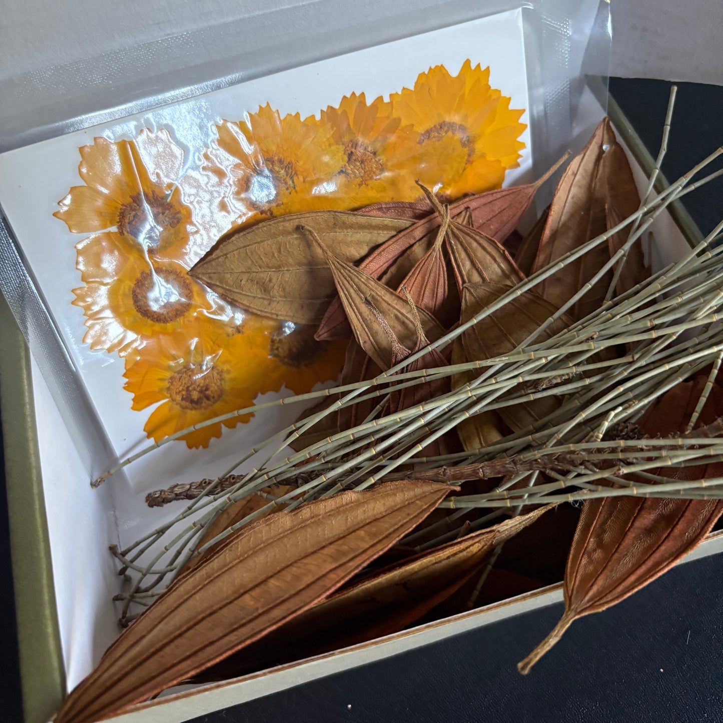 Special Edition Botanical Pack for Eco-Printing