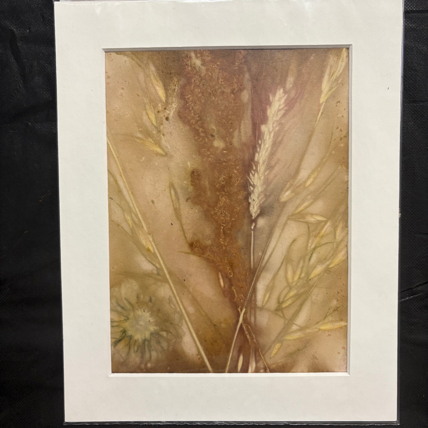 Ecoprints on watercolour paper