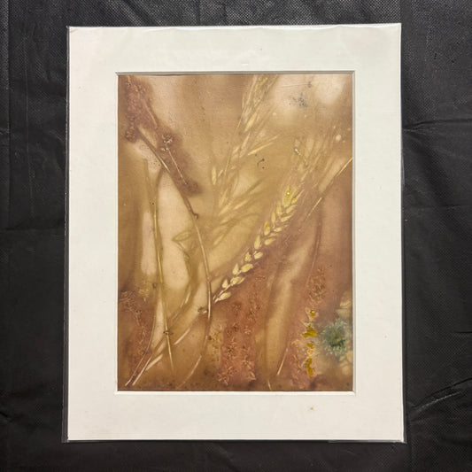 Ecoprints on watercolour paper