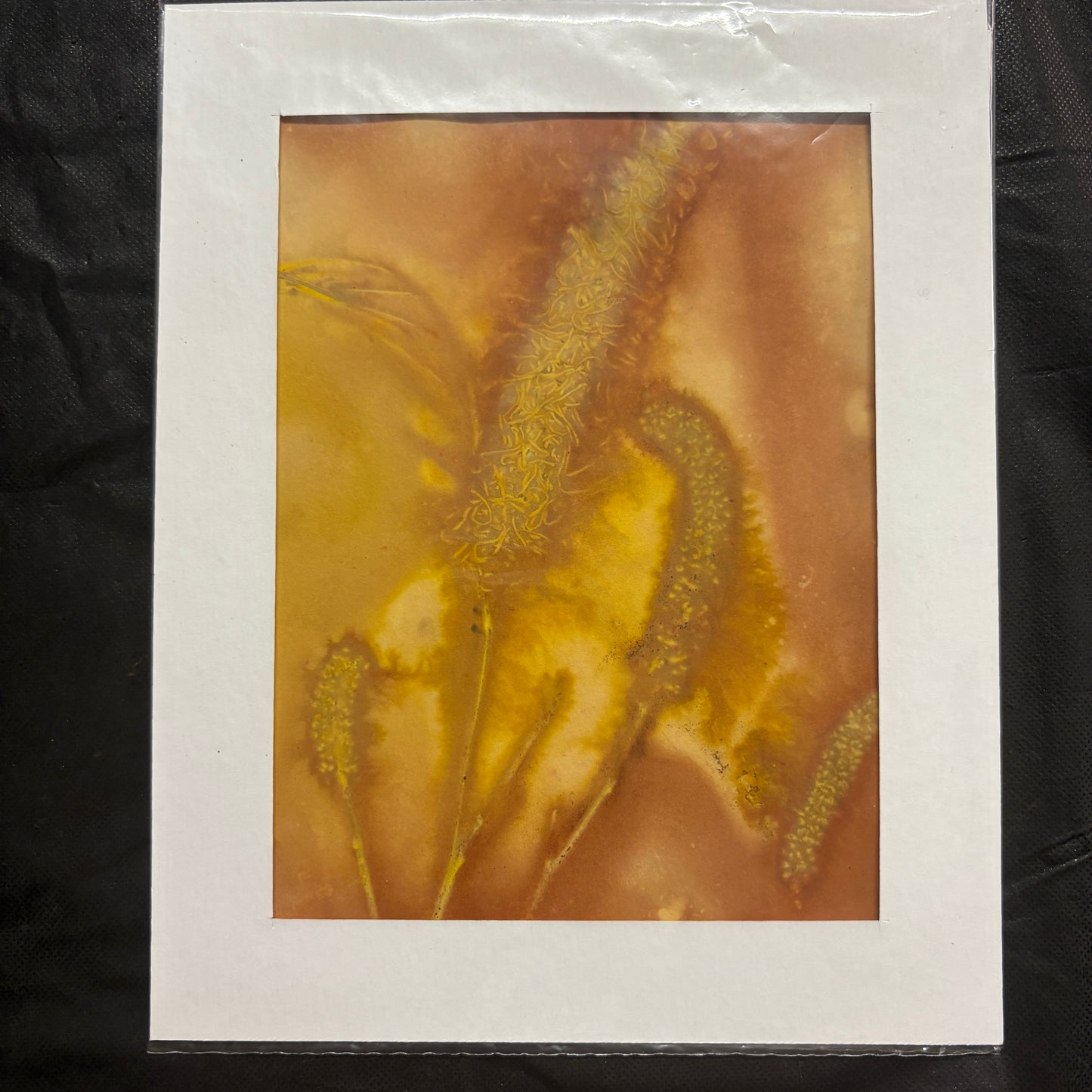 Ecoprints on watercolour paper